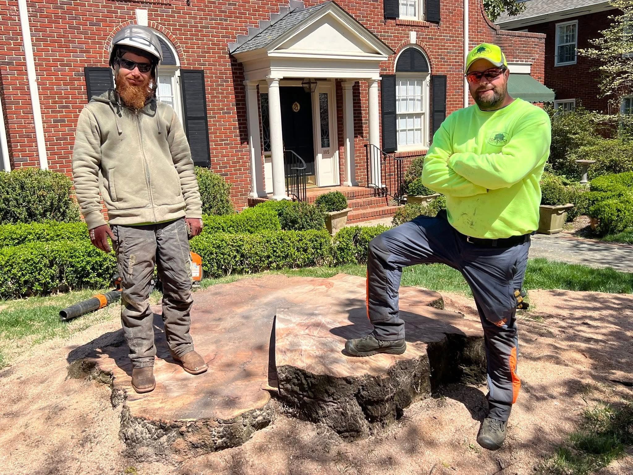 Carson Tree Company crew providing tree service in Taylors SC