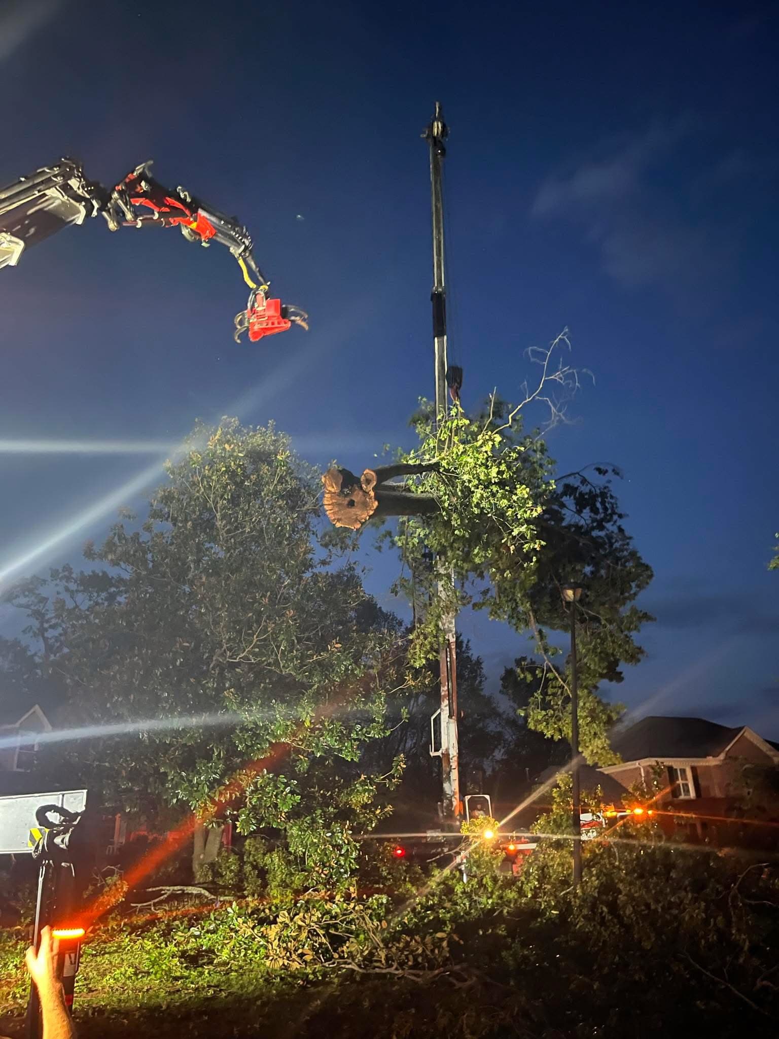 Emergency Tree Service Simpsonville