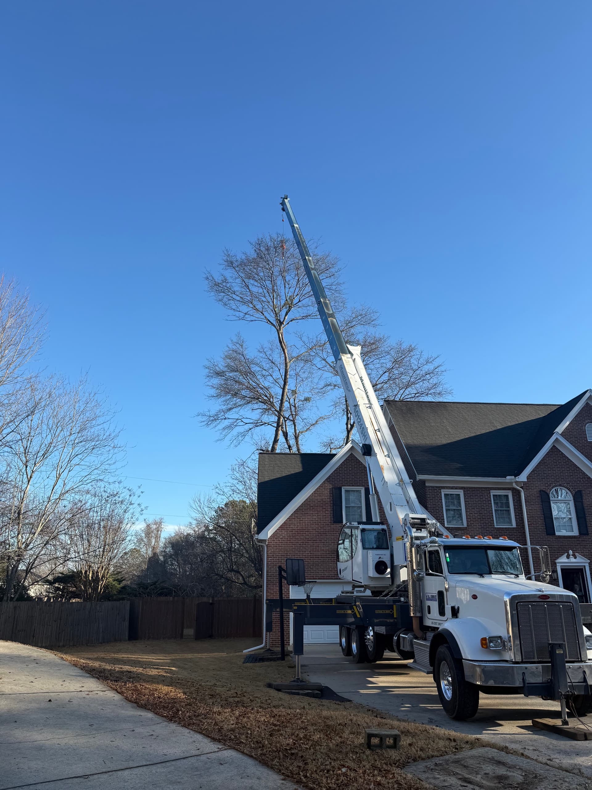 Carson Tree Company crew providing tree service in Mauldin SC