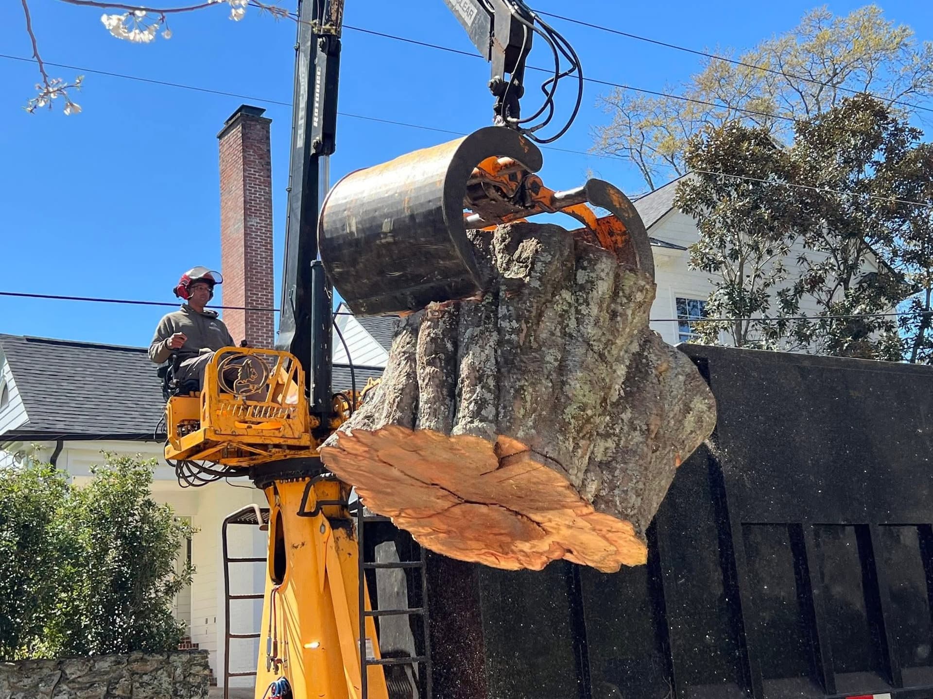 Tree Removal Simpsonville SC