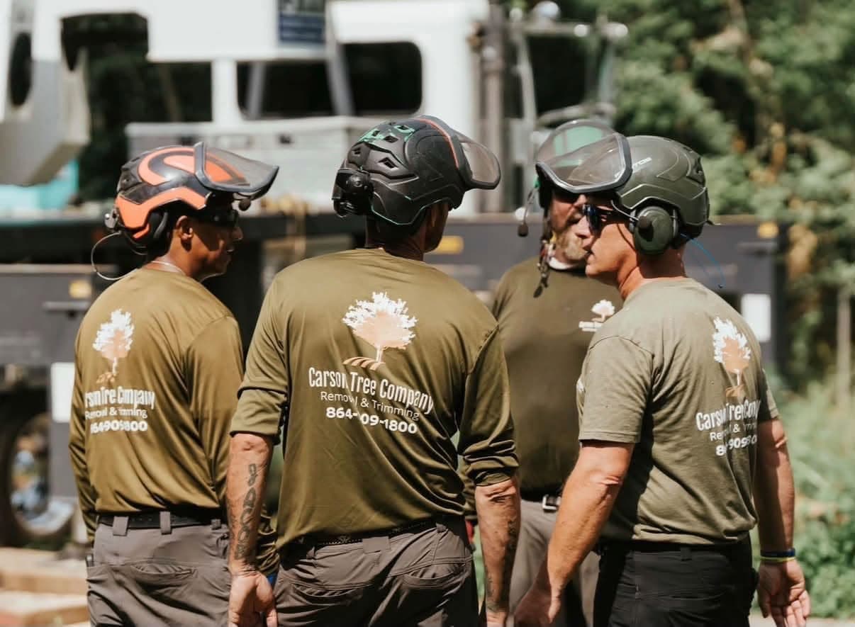 Carson Tree Company team performing professional tree care