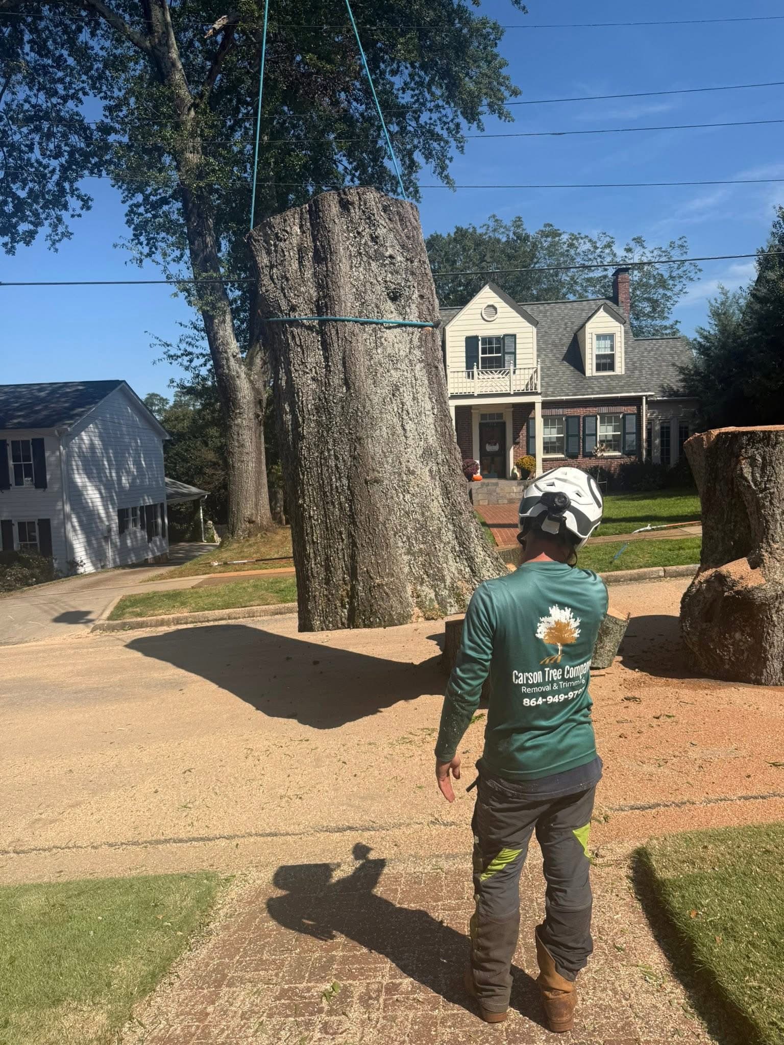 Carson Tree Company crew providing tree service in Fountain Inn SC