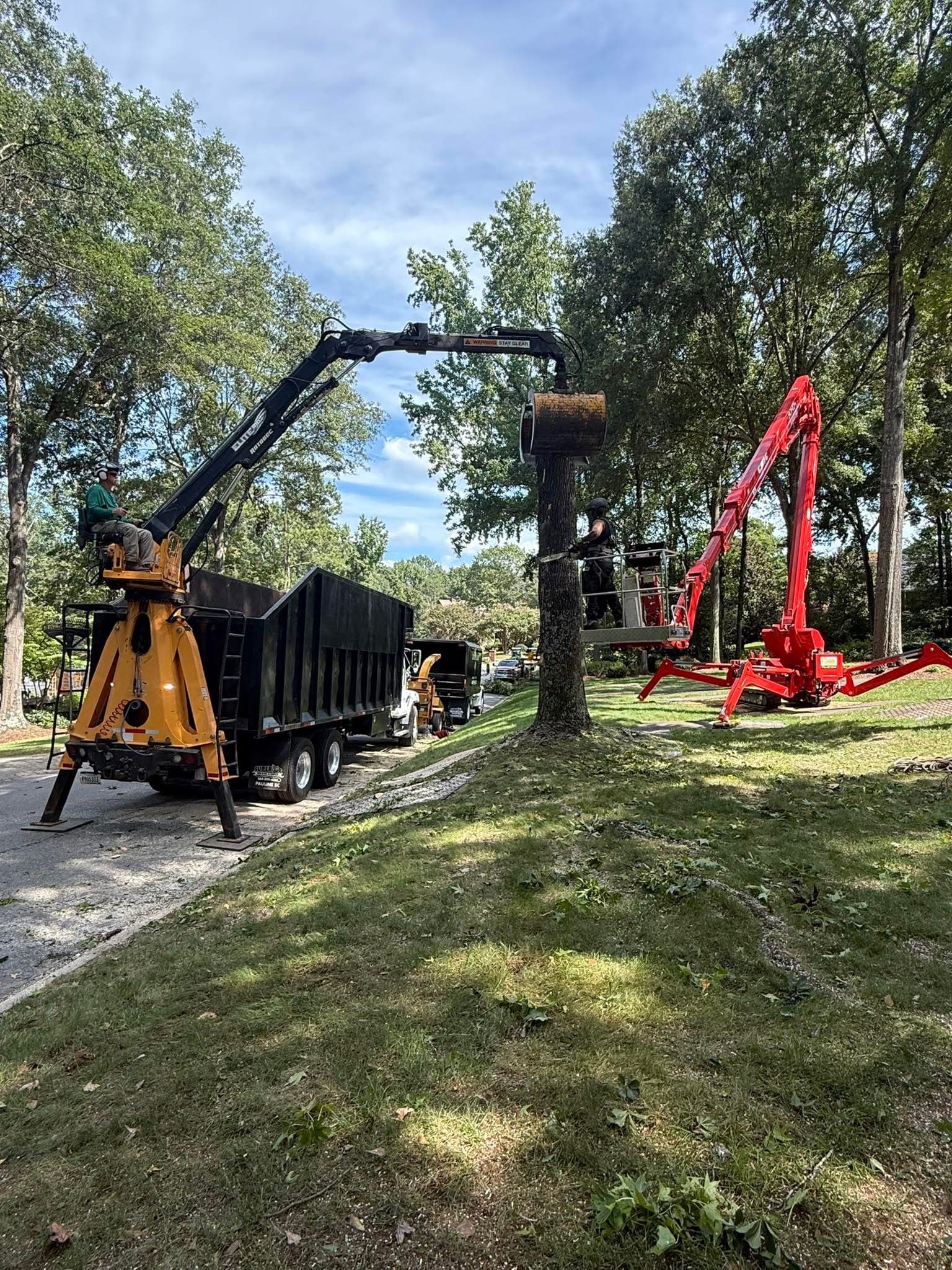 Professional tree care equipment