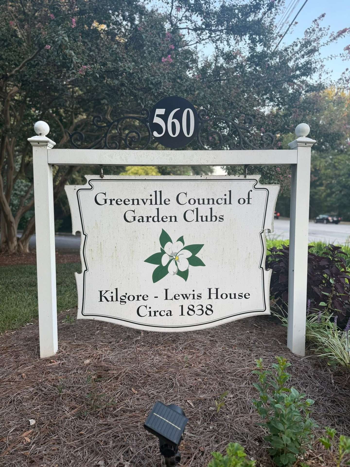 Featured tree service project