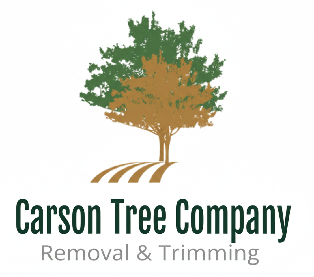 Carson Tree Company gallery 2